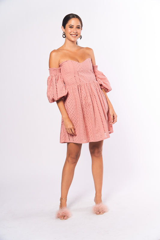 Monochromatic Ariella Offshoulder Dress (Blush)