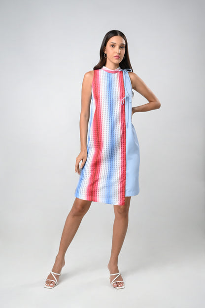 Cerene Sleeveless Dress (Multi)