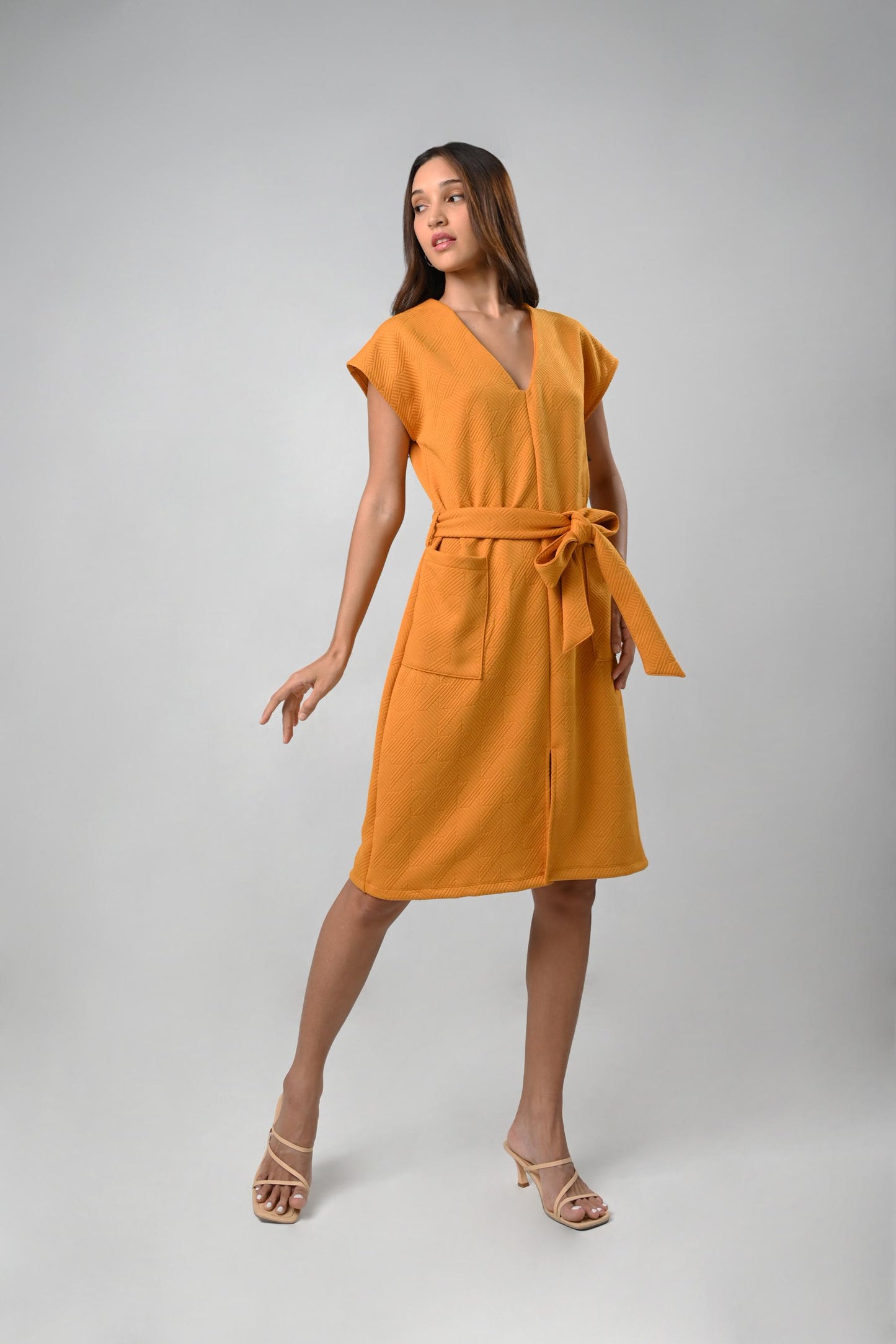 Cressid Short Sleeve Dress (Mustard)