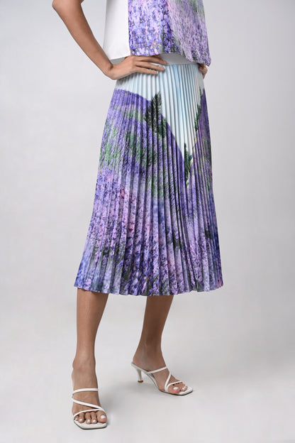 Derry Pleated Skirt (Multi)