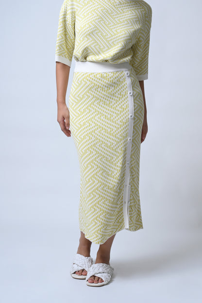 Fluke Skirt