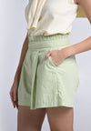 Archetype Travel Harkin Shorts (Mint)