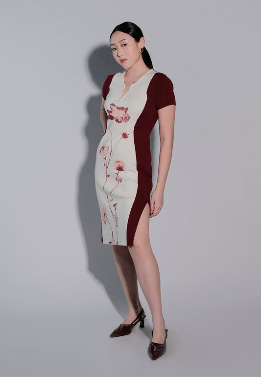 Femina The Mystic Short Sleeve Dress (Printed Beige)