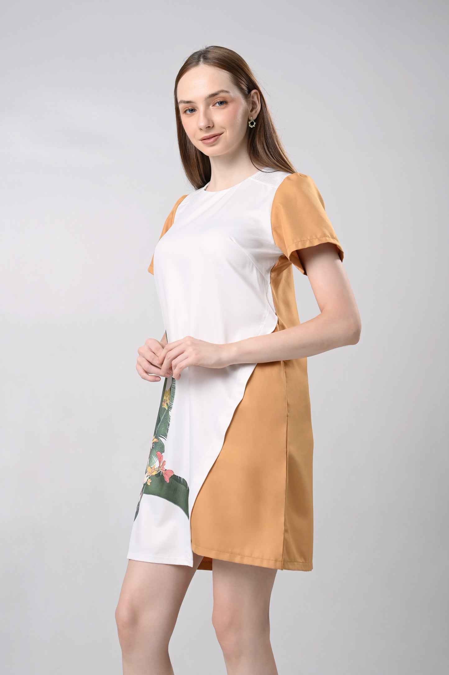 Devion Short Sleeve Dress (Multi)