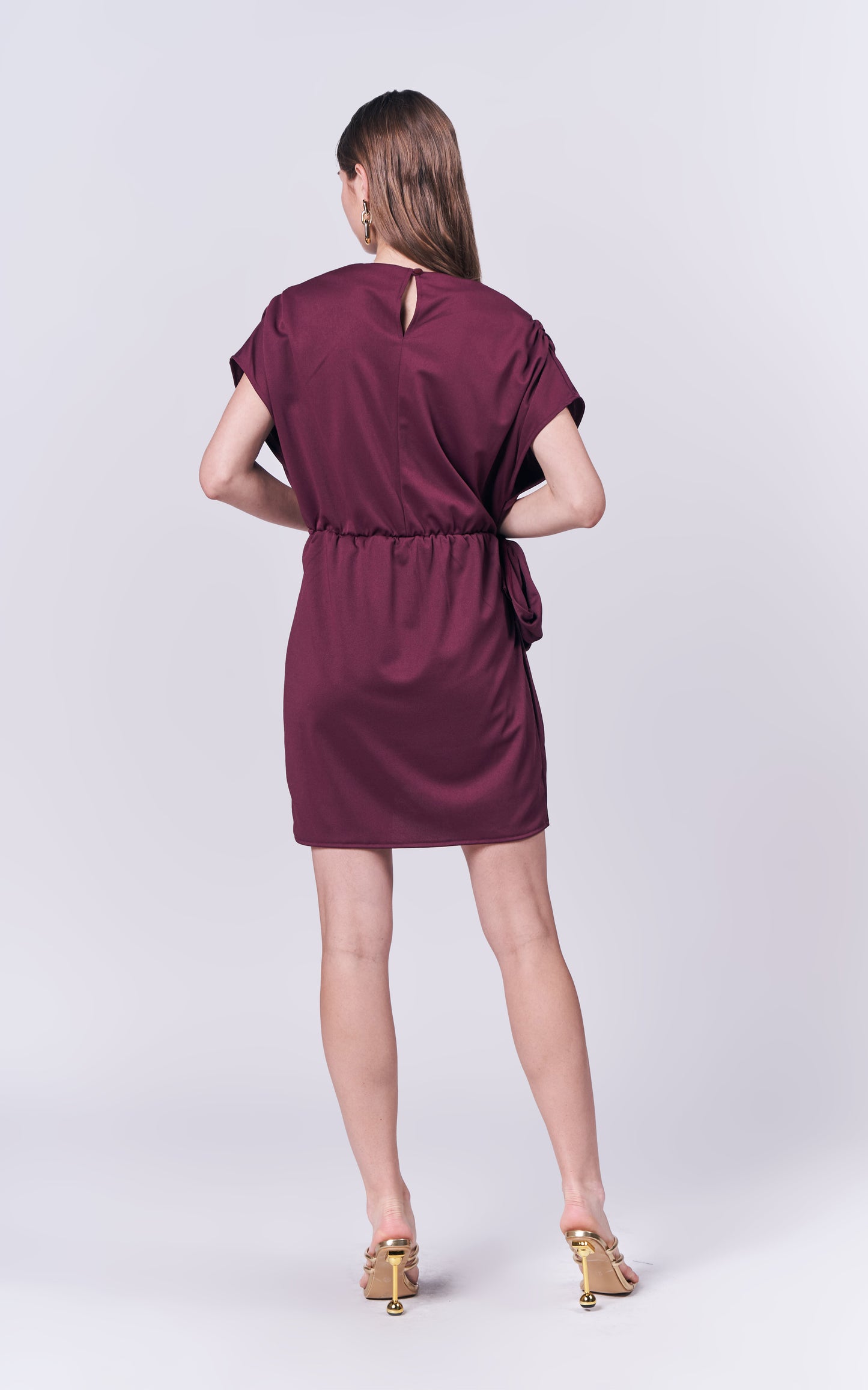 Jance Short Sleeve Dress (Burgundy)