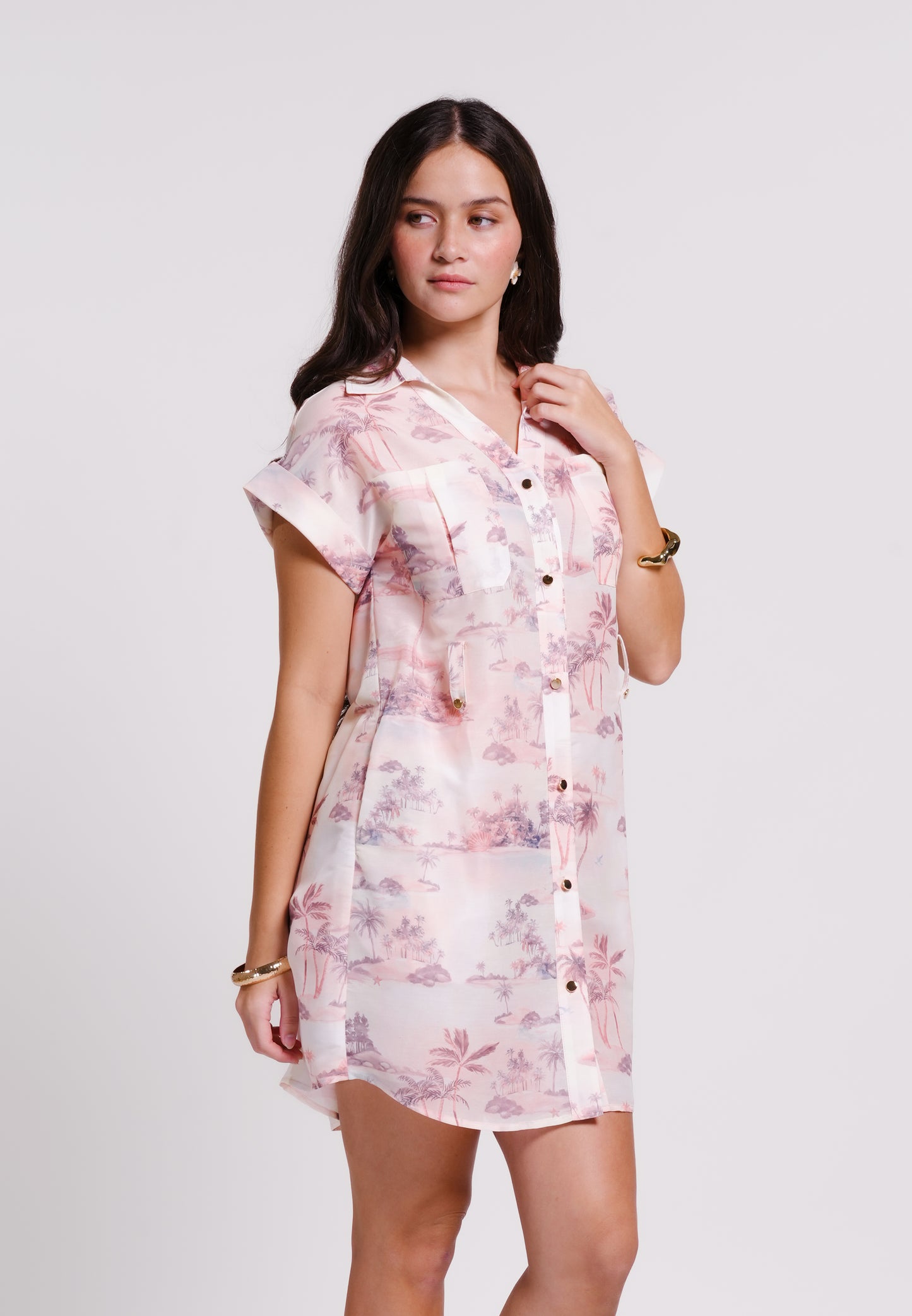 Beaux Short Sleeve Dress (Printed Blush)
