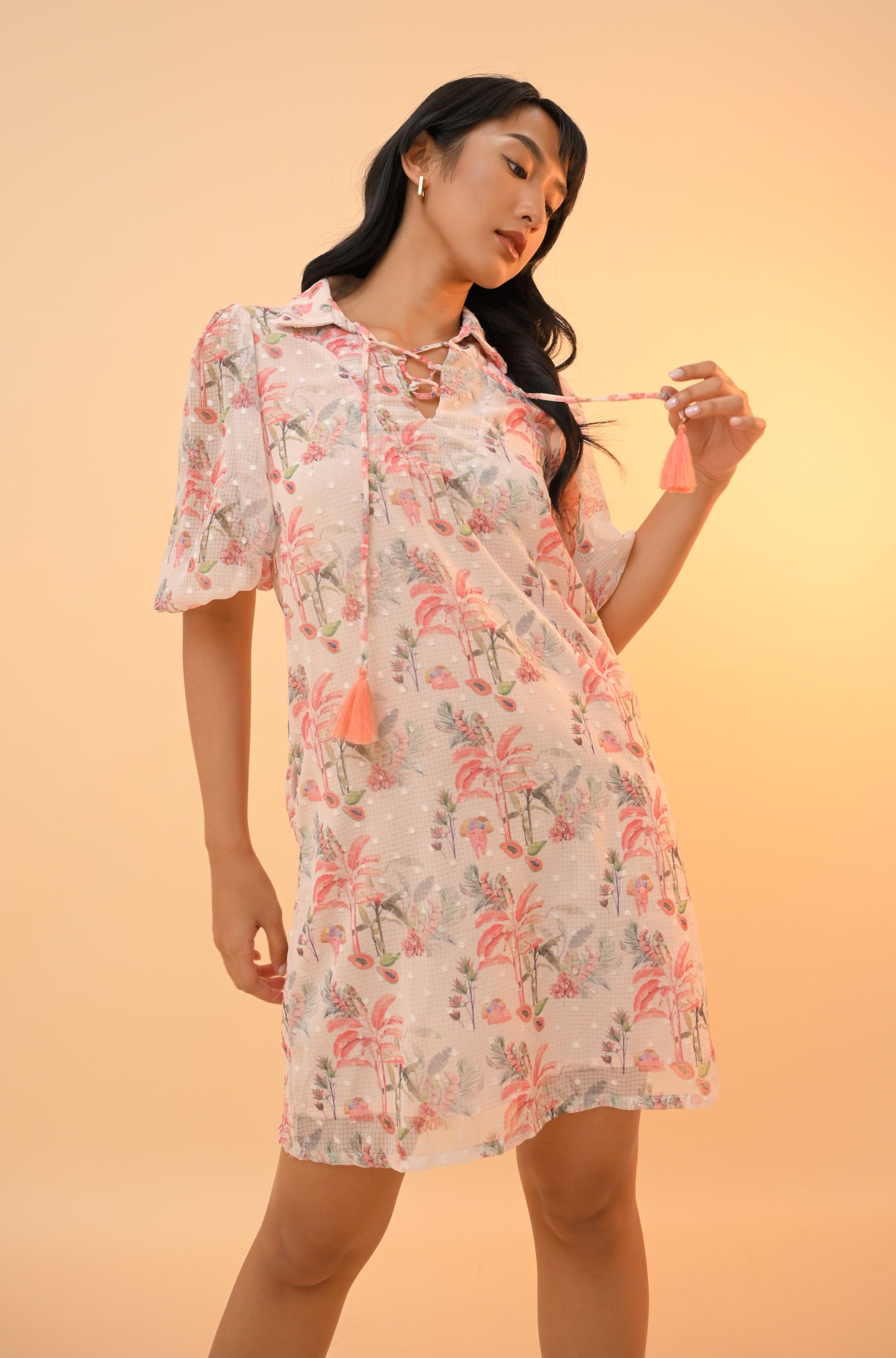 Dresses Plains Prints Dresses plains prints